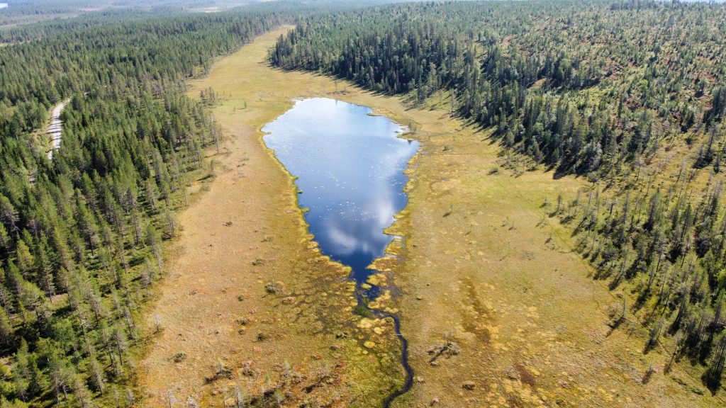 Viaggi in Finlandia