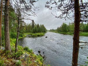 cambiamenti climatici in Lapponia