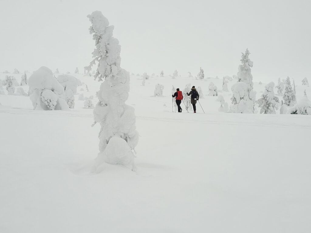 Vacanze di Febbraio in Lapponia