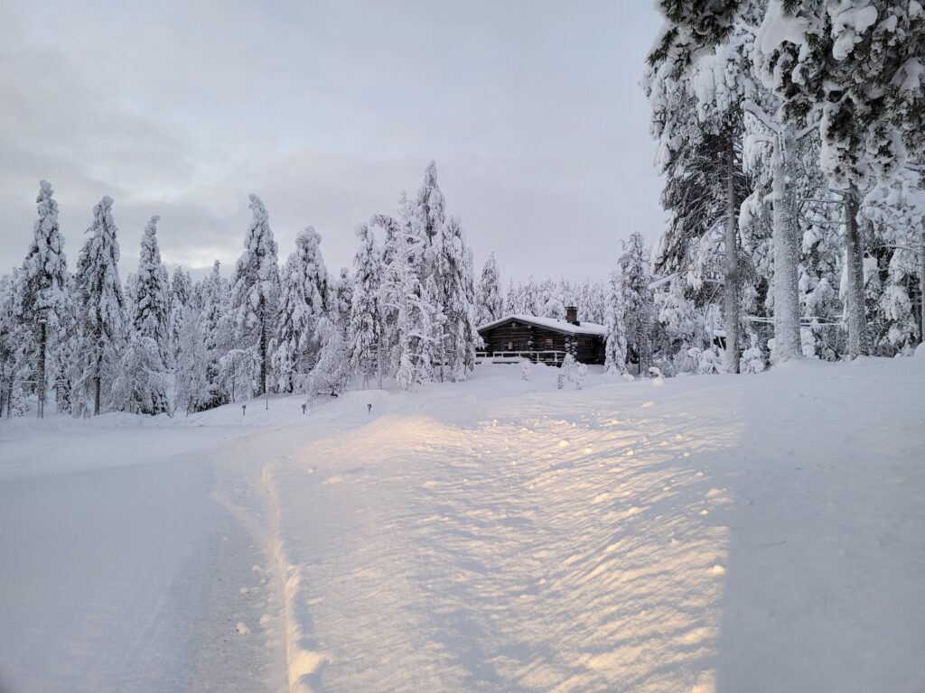 Vacanze di Febbraio in Lapponia