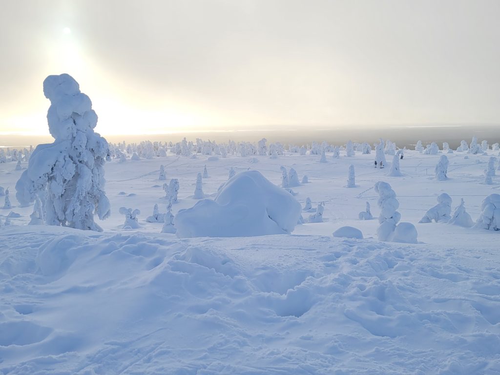 Capodanno 2026 in Finlandia e Lapponia