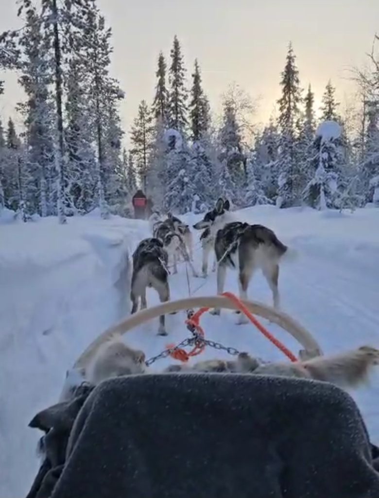 Capodanno 2026 in Finlandia e Lapponia